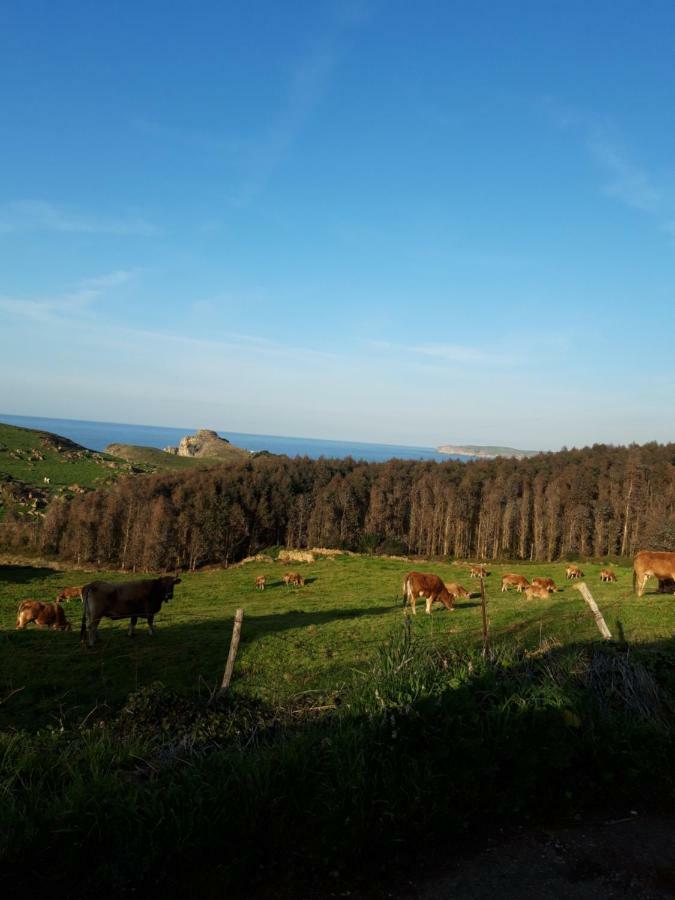 Vila La Torruca Orena Exteriér fotografie